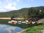 Dornes-lake-2