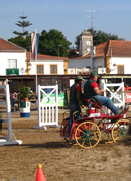 Golega-Just-missed-the-hors