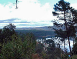 Barragem-walks