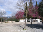 View-from-Church-courtyard
