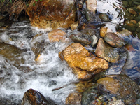 Water-rushing-thro-pebbles