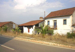 The-palm-house-on-web
