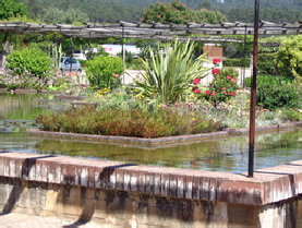 water-garden-to-front