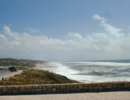 beach-from-a-distance