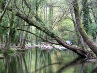 Camping-pool