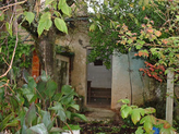 Back-door-before