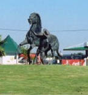 Link to site horses