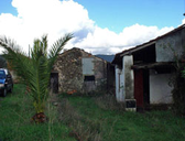 Front-side-barns