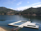 Safe-swimming-2