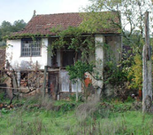 Back-of-House--in-total