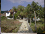 Path-to-rear-porch