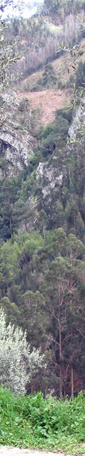 Vertical-strip
