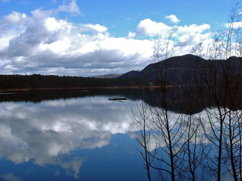 Barragem-brooding